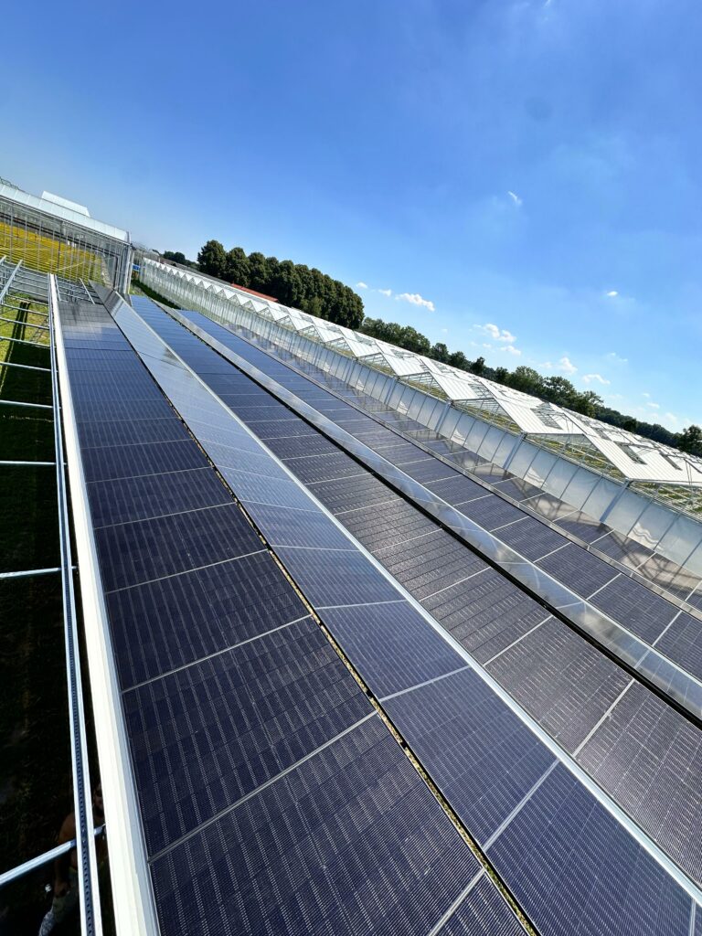 Batterij Thuis, Argon, Oud Gastel, Netherlands